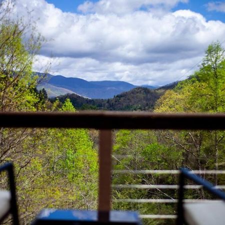 Family Cabin Near Smoky Mtn Entrance Nantahala 罗宾斯维尔 外观 照片