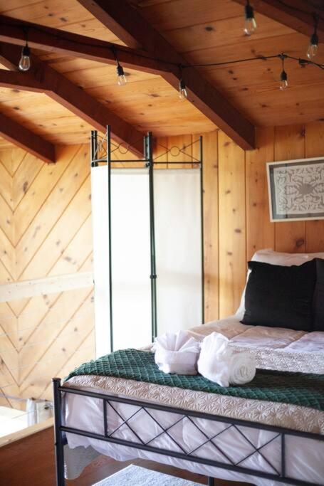 Family Cabin Near Smoky Mtn Entrance Nantahala 罗宾斯维尔 外观 照片