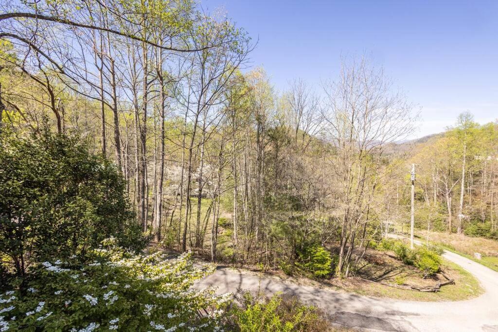 Family Cabin Near Smoky Mtn Entrance Nantahala 罗宾斯维尔 外观 照片