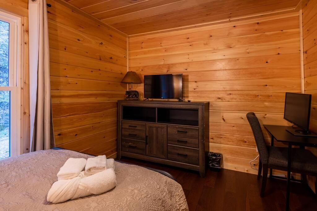 Family Cabin Near Smoky Mtn Entrance Nantahala 罗宾斯维尔 外观 照片
